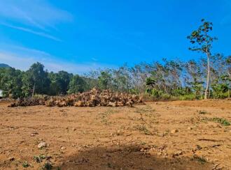 Residential Land for Sale in Kollam, Pathanapuram, Pathanapuram, https://maps.app.goo.gl/hgQRp6iJuiEffvTX8