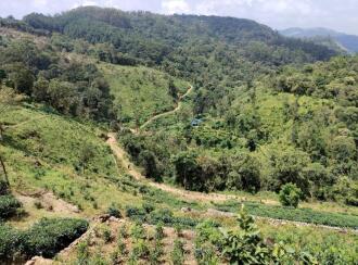 Agricultural Land for Sale in Idukki, Peerumade, Kacherikunnu, Behind sub jail