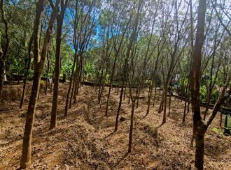 Residential House Villa for Sale in Pathanamthitta, Kozhencherry, Naranganam, NEAR KURIKATTIL JN. NARAGANAM