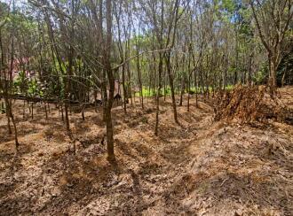 Residential House Villa for Sale in Pathanamthitta, Kozhencherry, Naranganam, NEAR KURIKATTIL JN. NARAGANAM