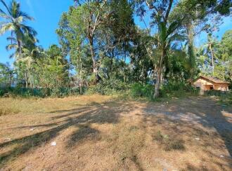 വാസയോഗ്യമായ ഭൂമി വില്പനയ്ക്ക് Alleppey, Ambalapuzha, Purakkad, Anandeswaram temple