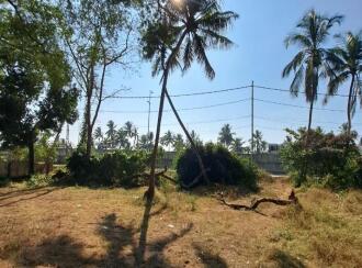 വാസയോഗ്യമായ ഭൂമി വില്പനയ്ക്ക് Alleppey, Ambalapuzha, Purakkad, Anandeswaram temple