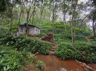 Agricultural Land for Sale in Trivandrum, Vembayam, Thekkada, Thenguvila Devi Temple