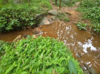 Agricultural Land for Sale in Trivandrum, Vembayam, Thekkada, Thenguvila Devi Temple