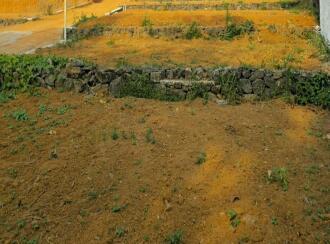 Residential Land for Sale in Kottayam, Ettumanoor, Ettumanoor, near Caritas Hospital