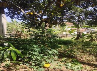 Residential Land for Sale in Pathanamthitta, Thiruvalla, Kumbanad