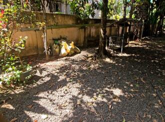 Residential House Villa for Sale in Kottayam, Changanassery, Changanassery, NEAR BY RAILWAY STATION CHANGANASSERY