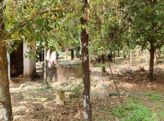 Residential Land for Sale in Ernakulam, Angamaly, Karukutty, palissery