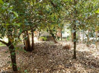 Residential Land for Sale in Ernakulam, Angamaly, Karukutty, palissery