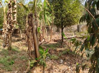 Residential Land for Sale in Ernakulam, Angamaly, Karukutty, palissery