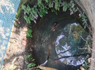 Residential Land for Sale in Ernakulam, Angamaly, Karukutty, palissery