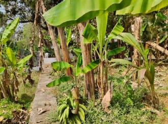 Residential Land for Sale in Ernakulam, Angamaly, Karukutty, palissery