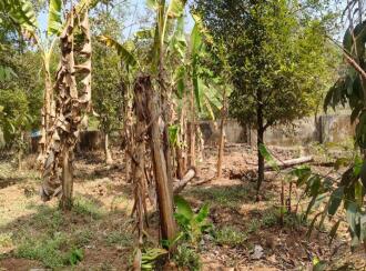 Residential Land for Sale in Ernakulam, Angamaly, Karukutty, palissery