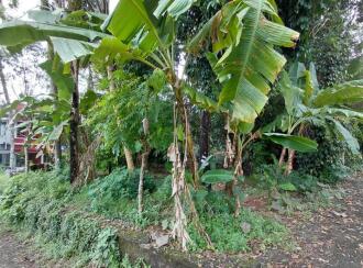 Residential Land for Sale in Thrissur, Thrissur, Chiyaram, Munayam