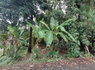 Residential Land for Sale in Thrissur, Thrissur, Chiyaram, Munayam