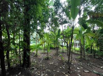 Residential Land for Sale in Thrissur, Thrissur, Chiyaram, Munayam