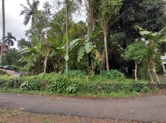 Residential Land for Sale in Thrissur, Thrissur, Chiyaram, Munayam