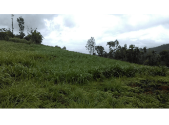 Commercial Land for Sale in Wayanad, Wayanad, Padinjarathara