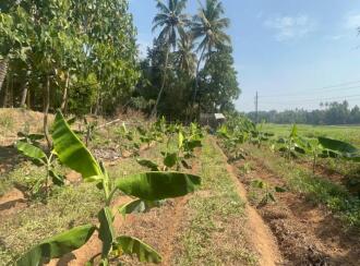 Residential Land for Sale in Thrissur, Chalakudy, Thiruthiparambu
