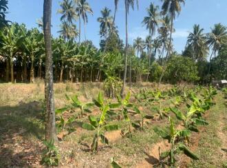 Residential Land for Sale in Thrissur, Chalakudy, Thiruthiparambu