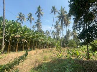 Residential Land for Sale in Thrissur, Chalakudy, Thiruthiparambu