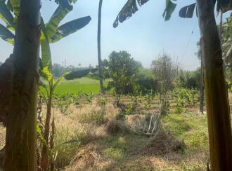 Residential Land for Sale in Thrissur, Chalakudy, Thiruthiparambu