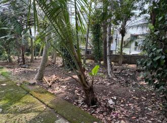 Residential Land for Sale in Trivandrum, Thiruvananthapuram, Mukolakkal, Kavuvila Lane