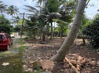 Residential Land for Sale in Trivandrum, Thiruvananthapuram, Mukolakkal, Kavuvila Lane