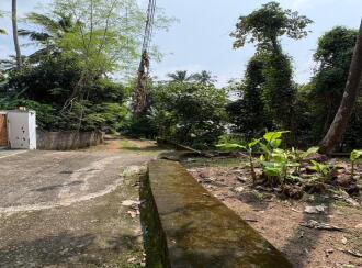 Residential Land for Sale in Trivandrum, Thiruvananthapuram, Mukolakkal, Kavuvila Lane
