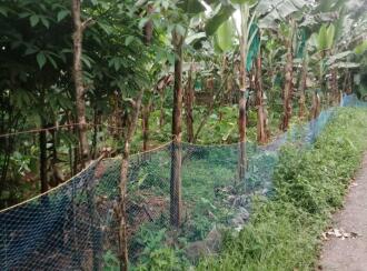 Residential Land for Sale in Pathanamthitta, Ranni, Kollamula, Santosh Kavala