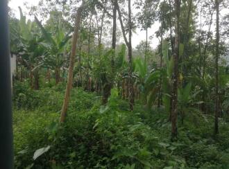 Residential Land for Sale in Pathanamthitta, Ranni, Kollamula, Santosh Kavala