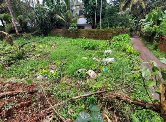 Residential Land for Sale in Kannur, Kannur, Kannur, Kottamarkandi