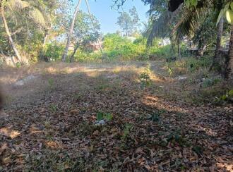Residential Land for Sale in Alleppey, Alappuzha town, Kommady, chathanad