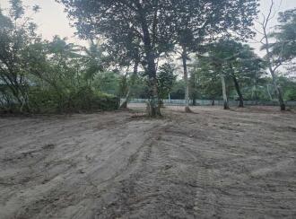 Commercial Land for Sale in Alleppey, Cherthala, Muhamma, kochanakulangara