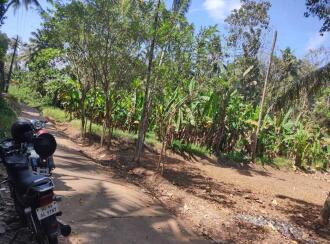 Residential Land for Sale in Kollam, Kottarakkara, Pulamon , KSRTC BUS STAND