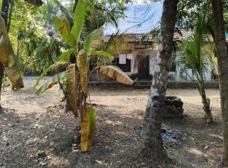 Residential Land for Sale in Kollam, Karunagapally, Karunagapally town, Pada North