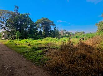 Commercial Land for Sale in Kottayam, Kottayam town, Kodimatha, https://maps.app.goo.gl/YQrUaZLSPx4ZWK6R7?g_st=ipc