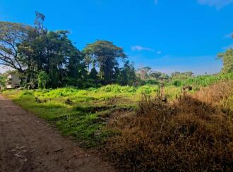 Commercial Land for Sale in Kottayam, Kottayam town, Kodimatha, https://maps.app.goo.gl/YQrUaZLSPx4ZWK6R7?g_st=ipc