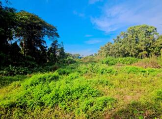 Commercial Land for Sale in Kottayam, Kottayam town, Kodimatha, https://maps.app.goo.gl/YQrUaZLSPx4ZWK6R7?g_st=ipc