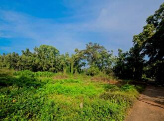 Commercial Land for Sale in Kottayam, Kottayam town, Kodimatha, https://maps.app.goo.gl/YQrUaZLSPx4ZWK6R7?g_st=ipc
