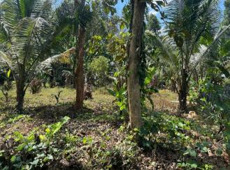 Residential Land for Sale in Kottayam, Pala, Poovarany, Poovarani Church, Pala