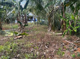 Residential Land for Sale in Kottayam, Pala, Poovarany, Poovarani Church, Pala