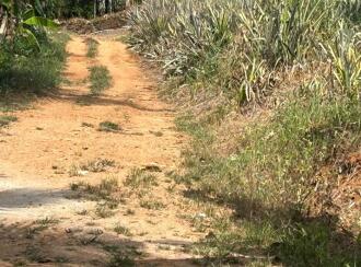 Residential Land for Sale in Kottayam, Pala, Poovarany, Poovarani Church, Pala