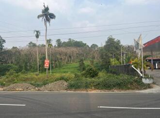 Commercial Land for Sale in Kottayam, Karukachal, Kangazha