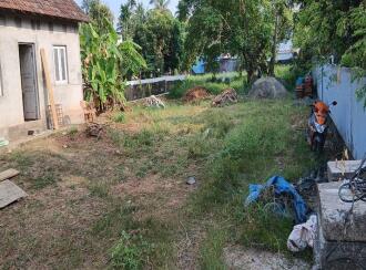 Commercial Land for Rent in Ernakulam, Kochi, Chellanam, https://maps.app.goo.gl/i4RPuhPwo96yePyh7