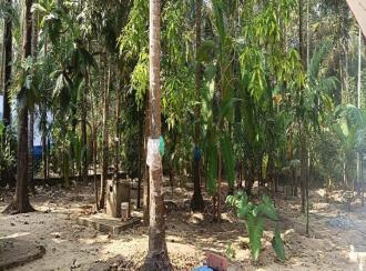 Residential Land for Sale in Thrissur, Triprayar, Triprayar