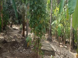 Residential Land for Sale in Thrissur, Triprayar, Triprayar