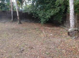 Residential Land for Sale in Alleppey, Cherthala, Eramalloor, Near Thottappilly Mahavishnu Temple, Eramalloor