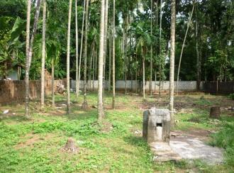 Residential Land for Sale in Thrissur, Chalakudy, Chalakkudy, Thachudaparambu