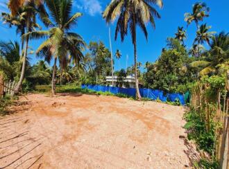 Residential Land for Sale in Alleppey, Cherthala, Kadakkarappally, NEAR BY KADAKKARAPALLY
